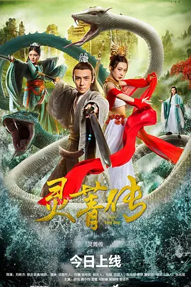 灵菁传海报