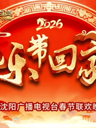 把乐带回家沈视春晚海报