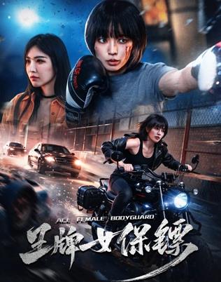 王牌女保镖海报