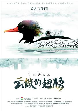 云做的翅膀海报