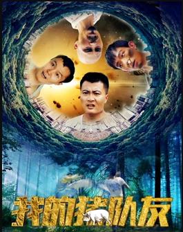 我的猪队友海报