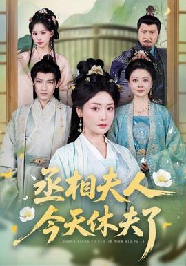丞相夫人，今天休夫了海报