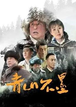 青山不墨海报