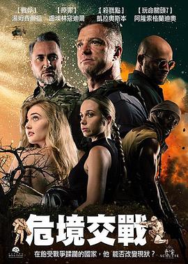 危境交战海报