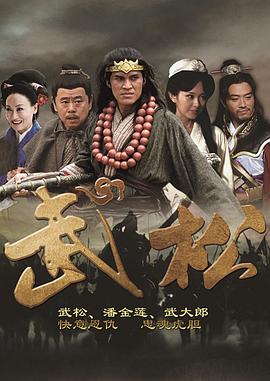 武松2013海报