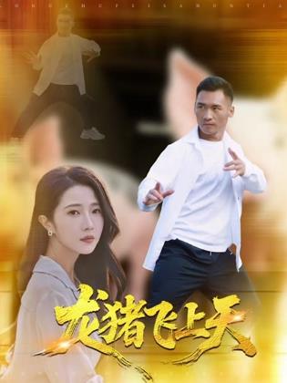 龙猪飞上天海报