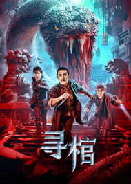 寻棺海报