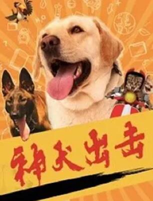 神犬出击海报