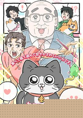 转生成猫的大叔海报