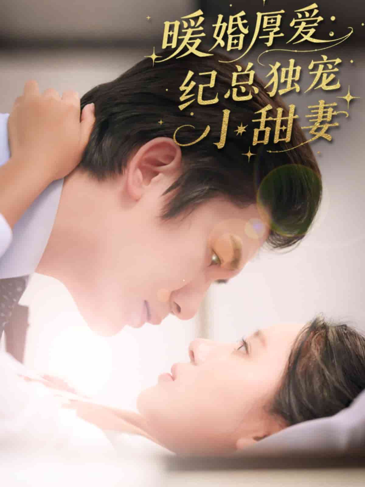 暖婚厚爱纪总独宠小甜妻海报