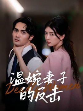 温婉妻子的反击海报