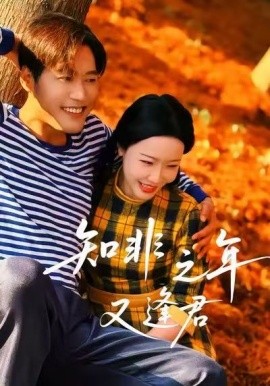 知非之年又逢君海报