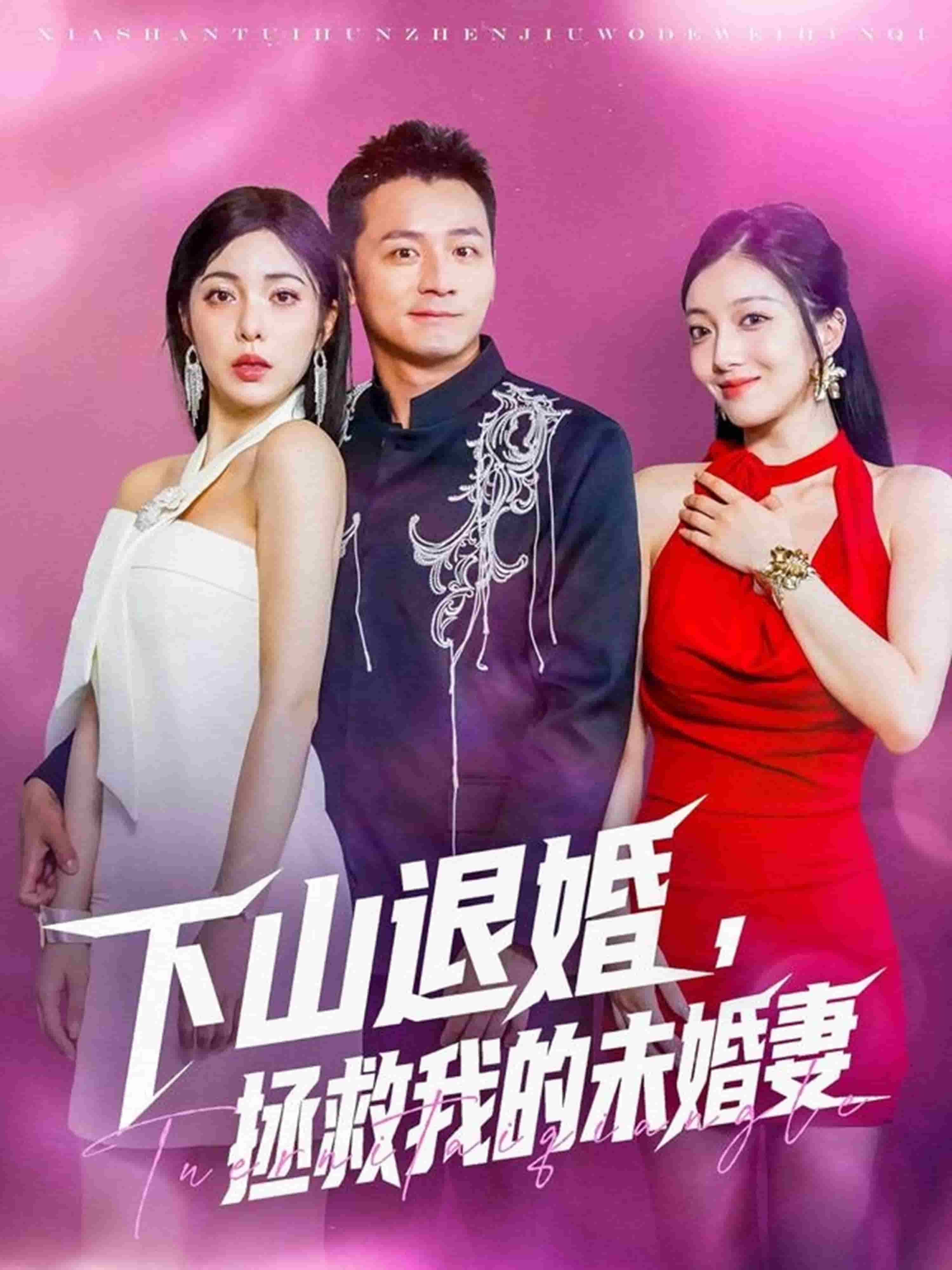 下山退婚拯救我的未婚妻海报