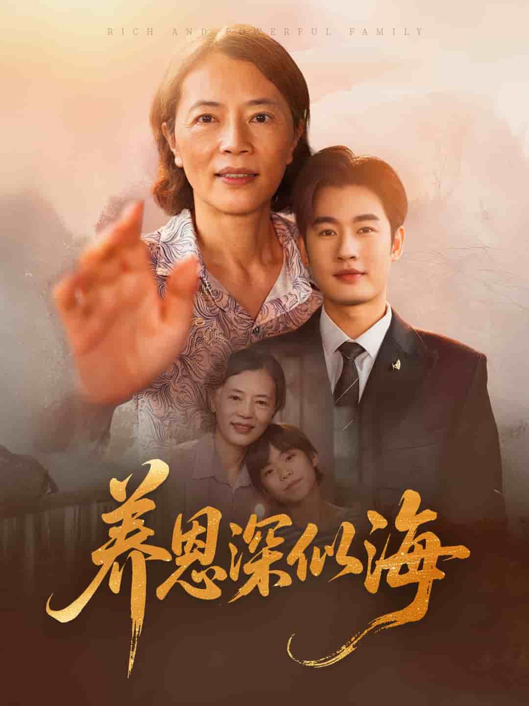 养恩深似海海报