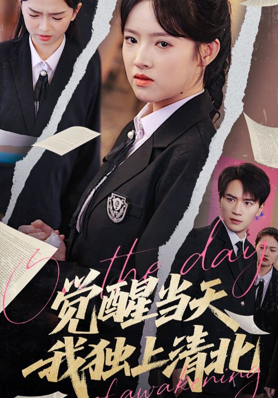 觉醒当天我独上清北海报