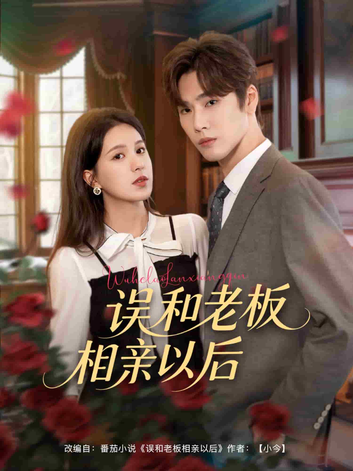 误和老板相亲以后海报