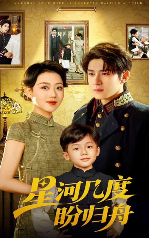 星河几度盼归舟海报