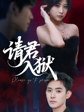 请君入狱海报