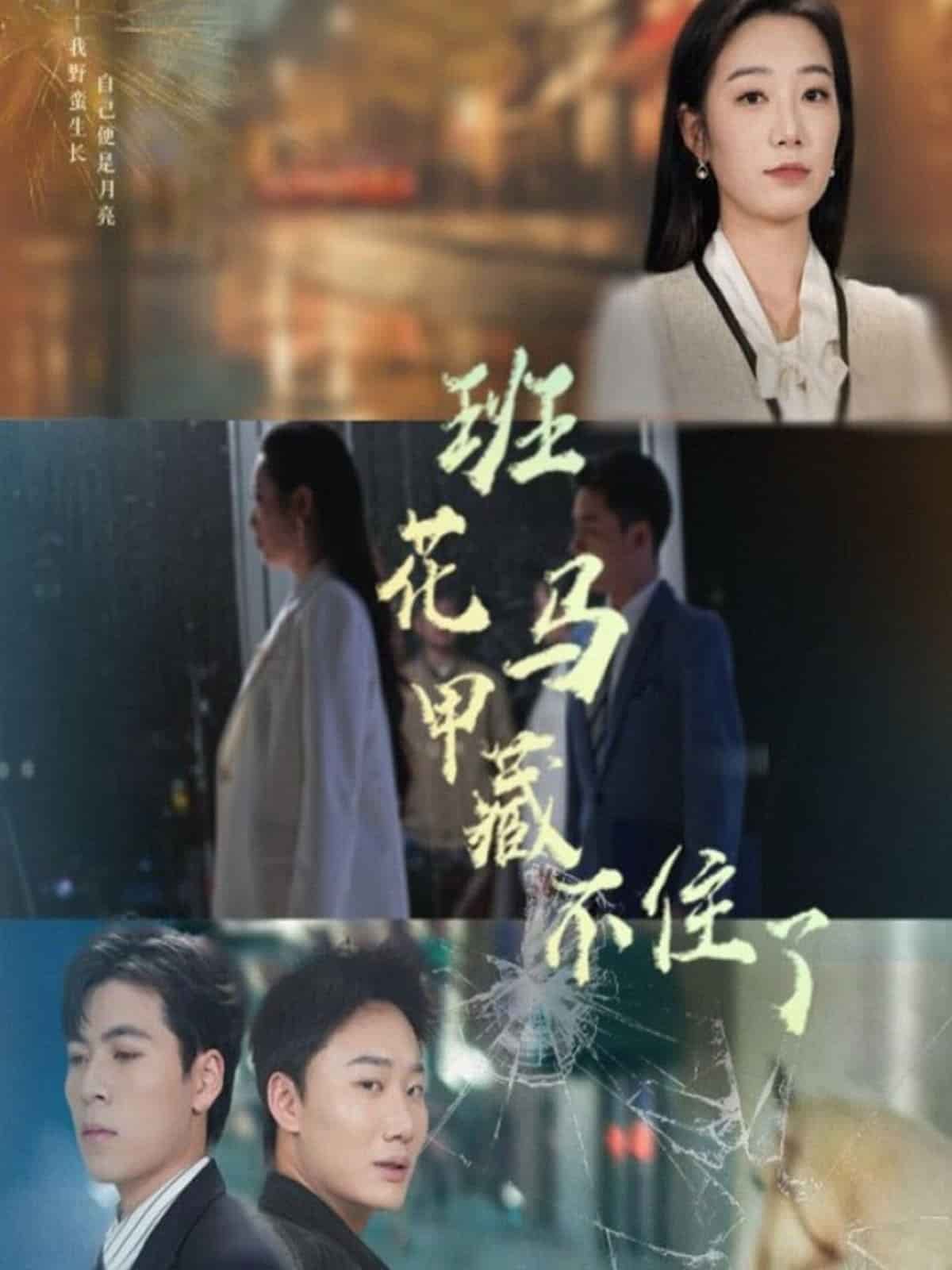 班花马甲藏不住了海报