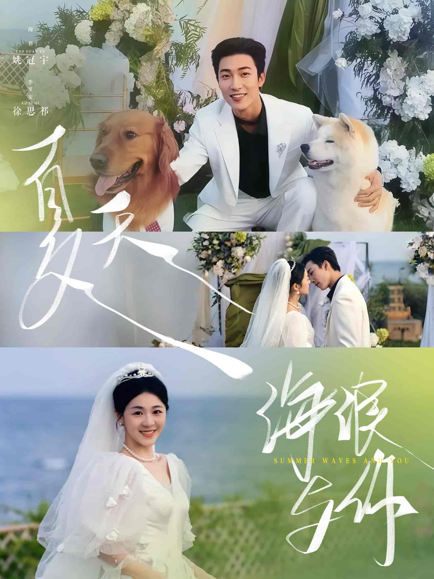夏天，海浪与你海报