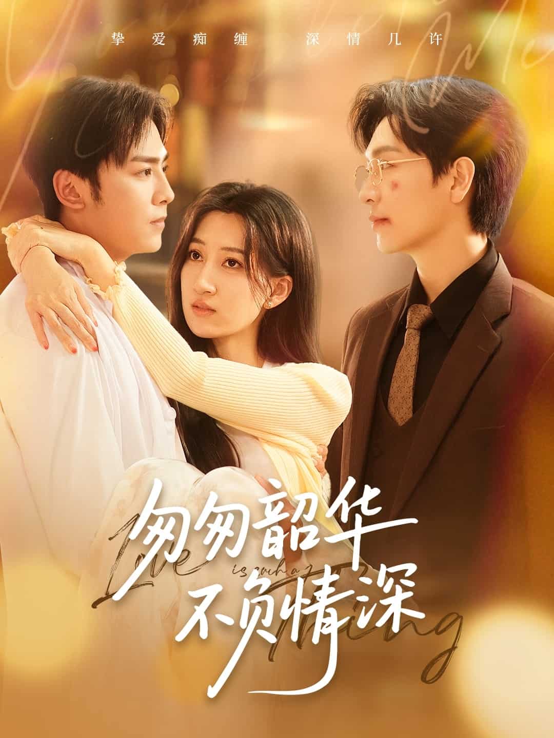 匆匆韶华不负情深海报