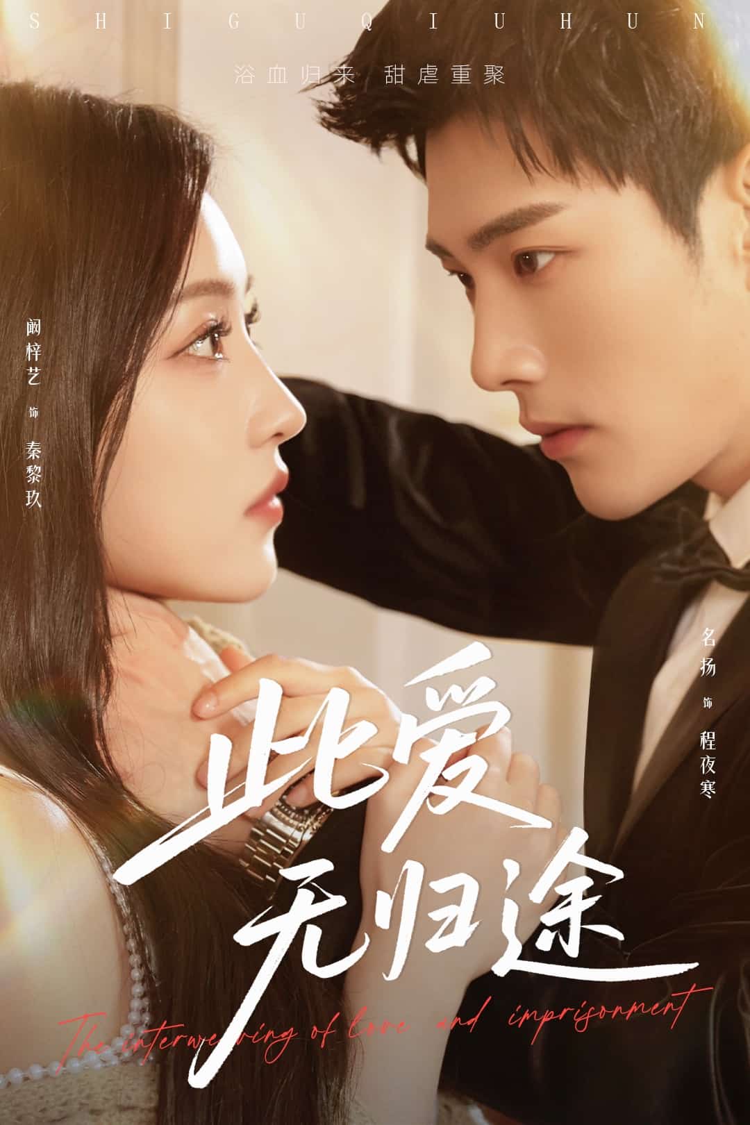 此爱无归途海报