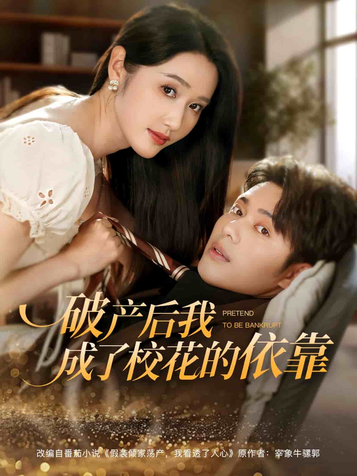 破产后我成了校花的依靠海报