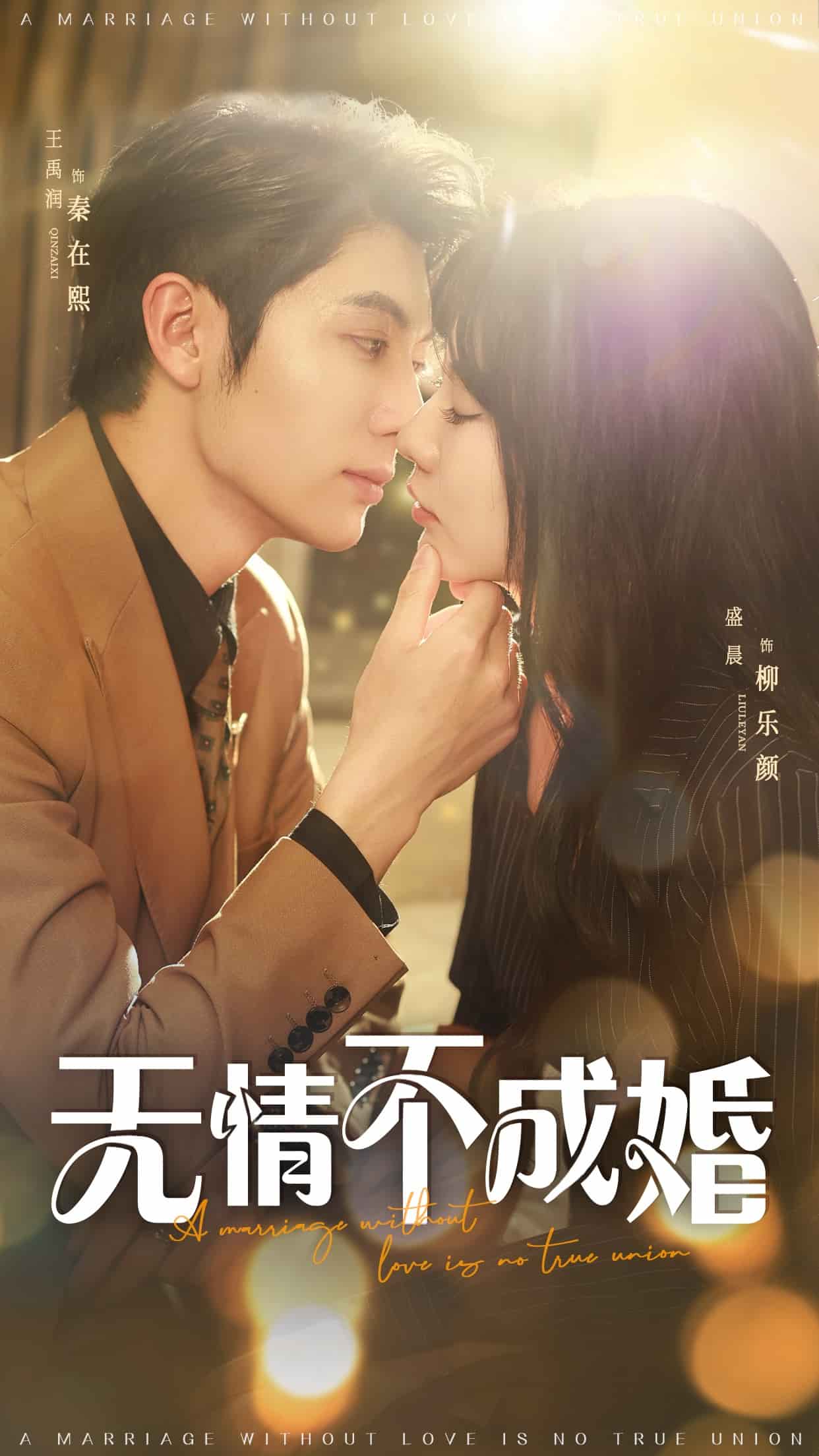 无情不成婚海报