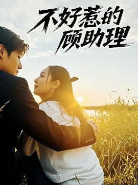 不好惹的顾助理海报