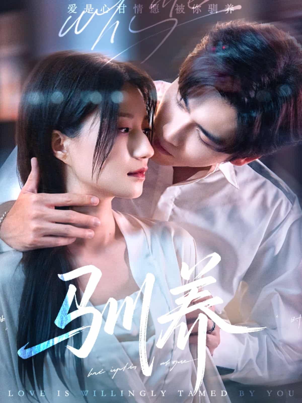 驯养海报