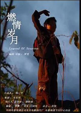 燃情岁月海报