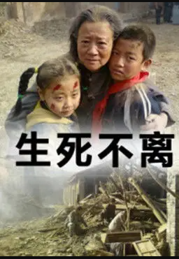 生死不离海报