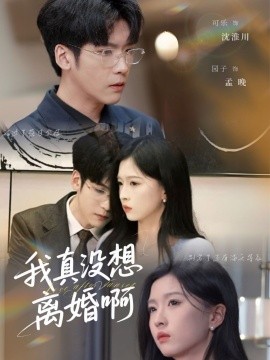 我真没想离婚啊海报