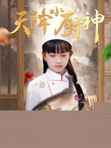 天降小厨神海报