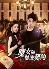 魔女的秘密契约海报