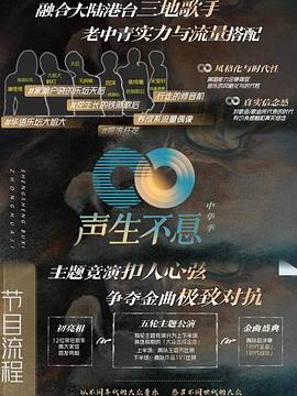声生不息家年华海报