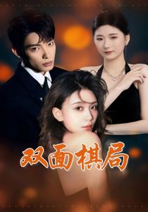 双面棋局海报
