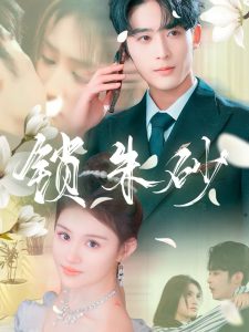 锁朱砂海报