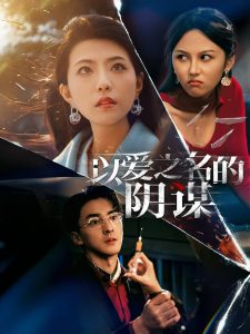 以爱之名的阴谋海报