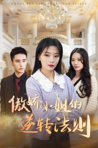 傲娇小姐的逆转法则海报