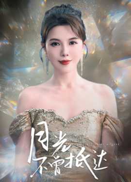 月光不曾抵达海报