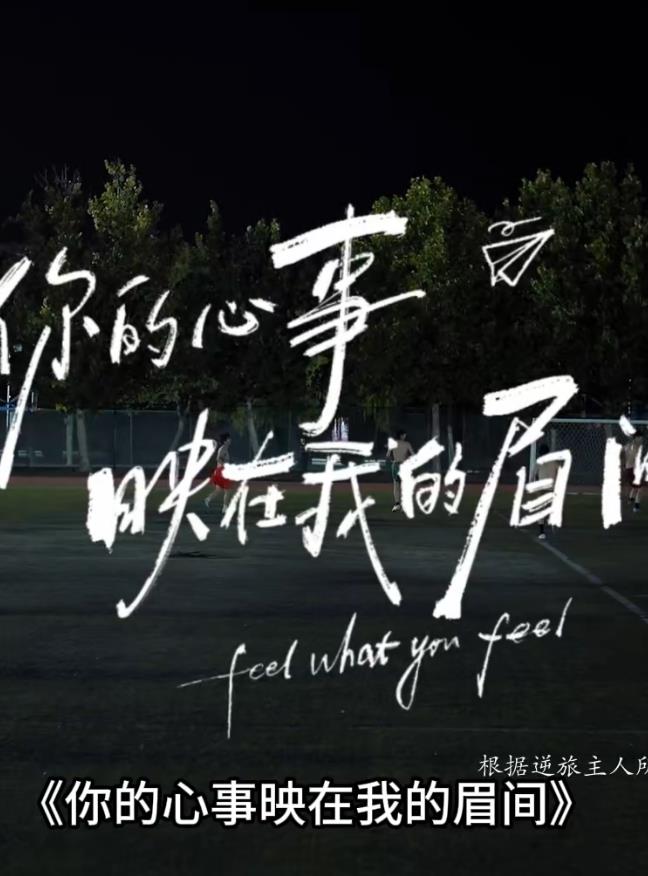 你的心事映在我的眉间海报