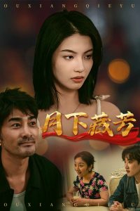 月下藏芳海报