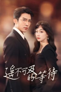 遥不可及的等待海报