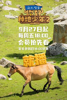 你好,种地少年2海报