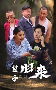 望子归来海报