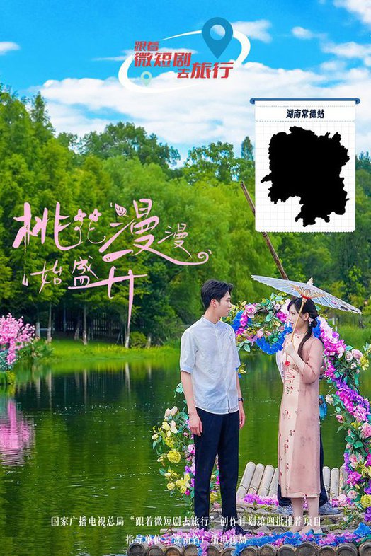 桃花漫漫始盛开海报
