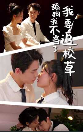 舔狗我不当了我要追校草海报