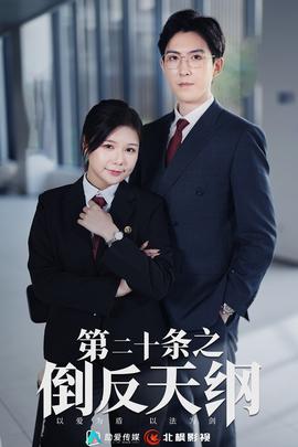 第二十条之倒反天纲海报