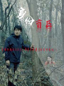 身份盲区海报
